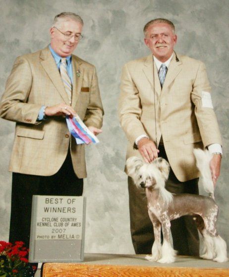 silver bluff dark side of the moon