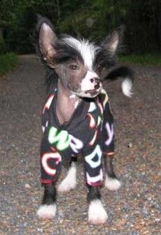 Reject's After Eight