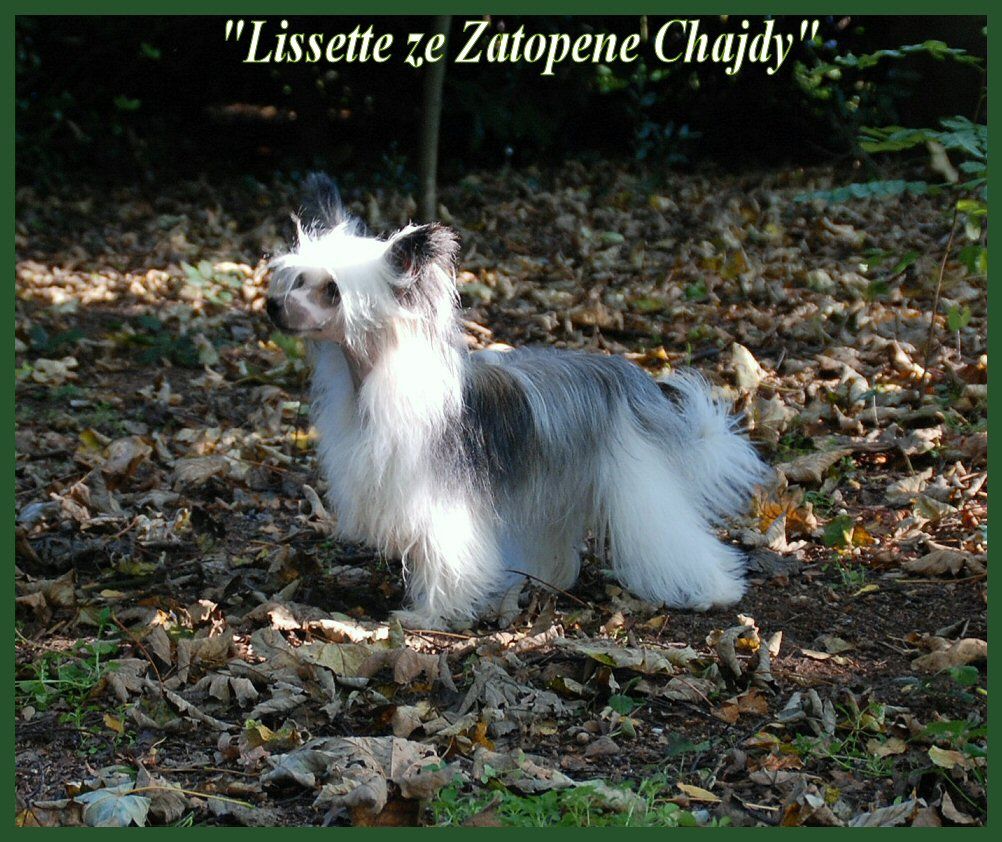 Lissette ze Zatopene Chajdy