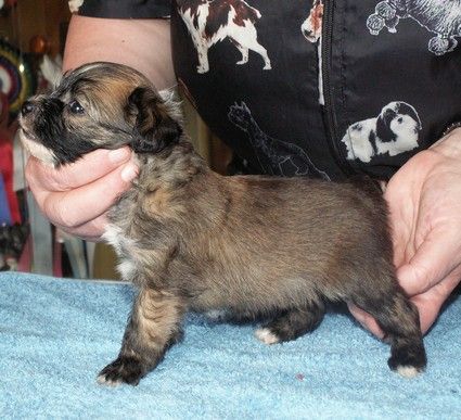 United Colors de GabriTho