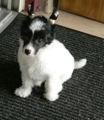 Kalypso's X Marks the Spot