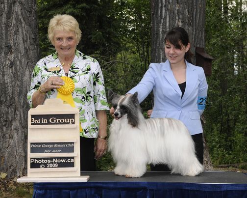 Swifthaven That's Why I'm Hot