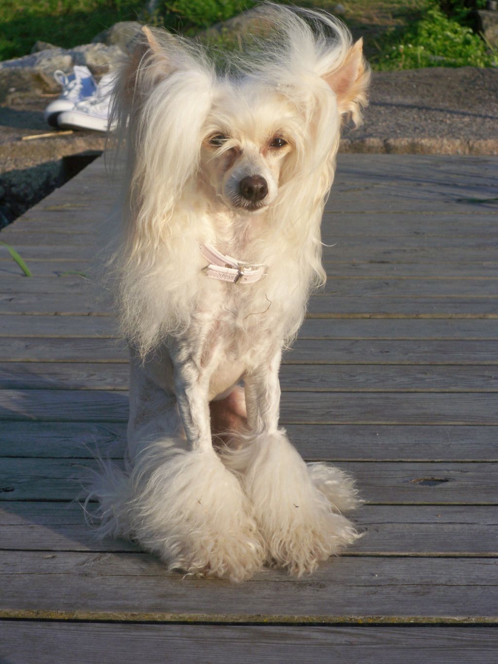 Arte Figure Barbican