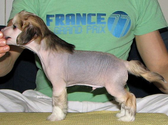 Arte Figure Blackfriars