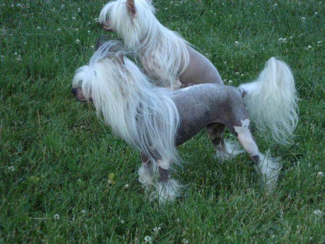 Tapscott's In It 2 Win It