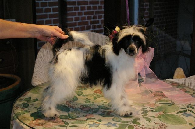 Take Care von Shinbashi