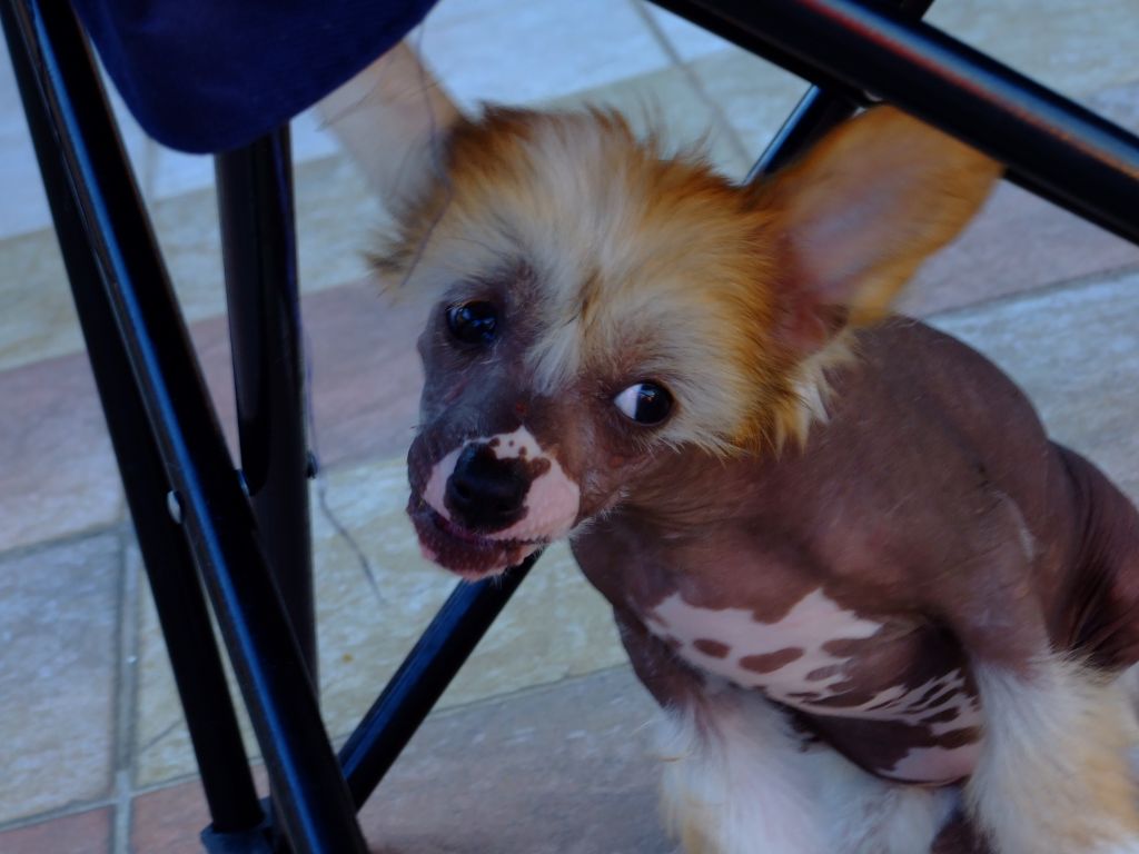 Revolution of Beauty Lagoon