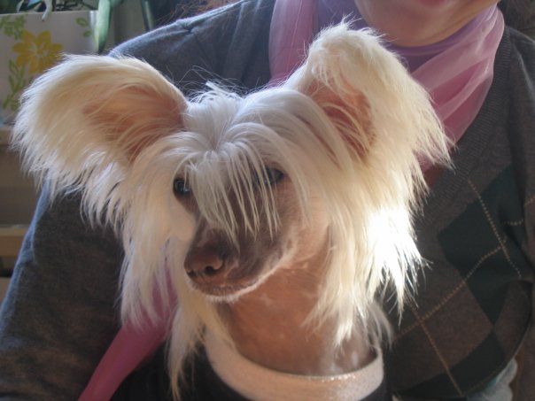 Revolution of Beauty Legally Blonde