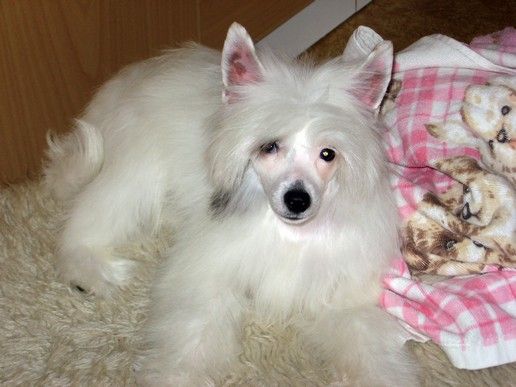 Barbie Paris Stars Acro