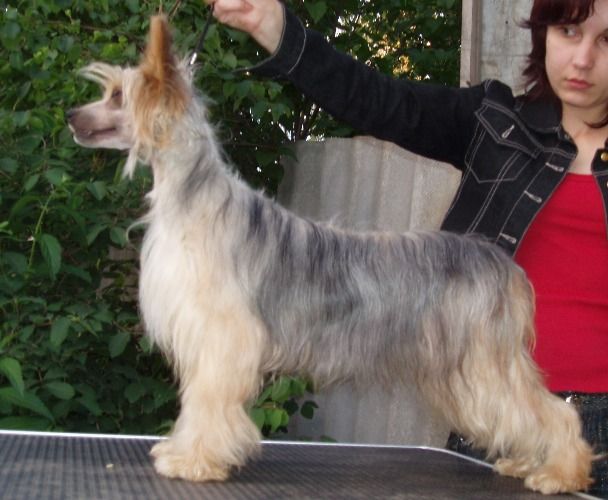 Vivat Sanraiz Sharman