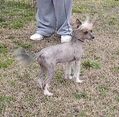 Diva's Bare and Flirty