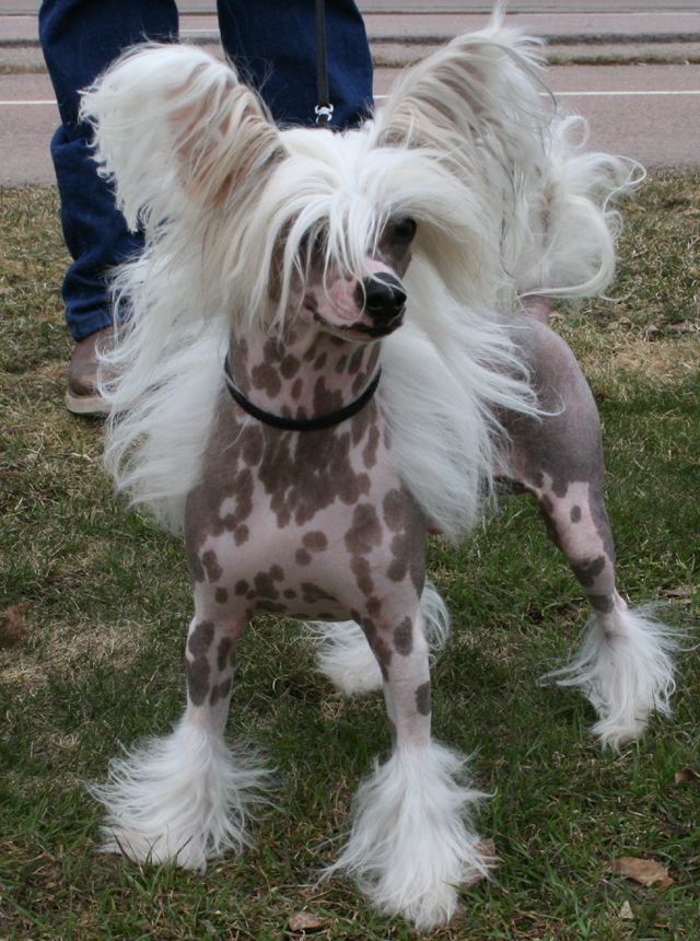 Kaa Won's Dead Man's Hand