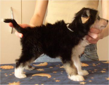 Francoise Hot chocolate