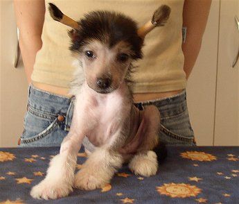 Fondan Hot chocolate