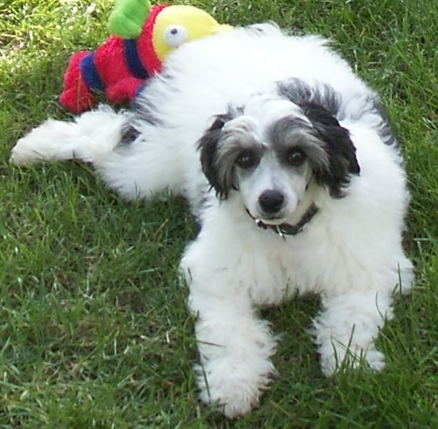 YaGudina's Take a chanse on me