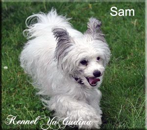 YaGudina's Kisses of fire