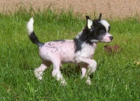 Edmond from Angels Fundation