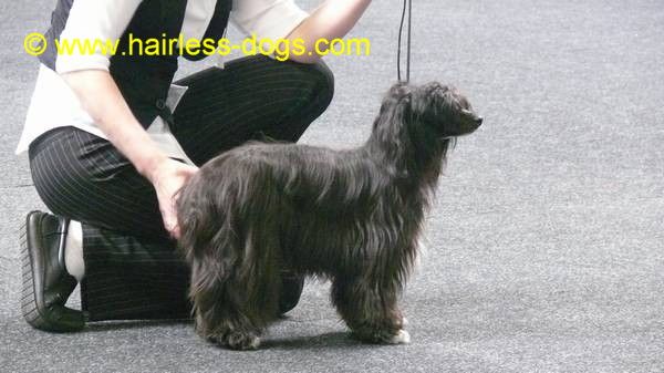 Fiona from Angels Fundation