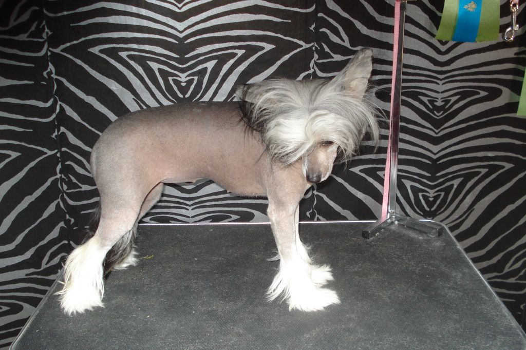 Krystal princess amasing angel