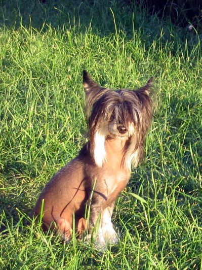 Fafa-Rafa Capo Vaticano