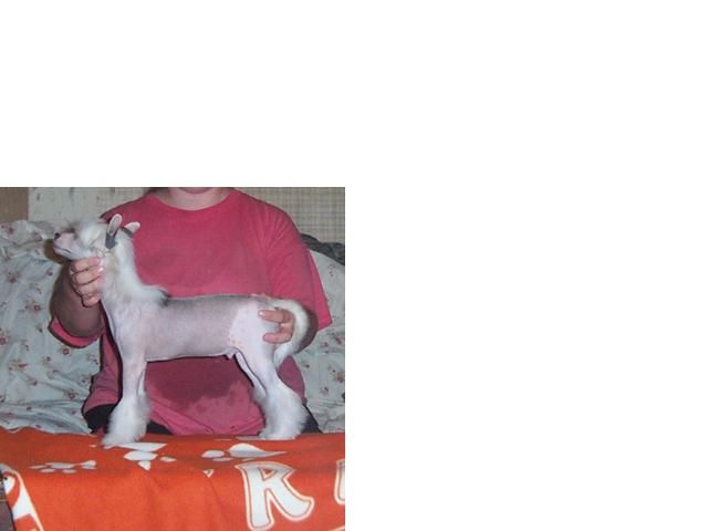 Mosaic's Duz It Look Like I care