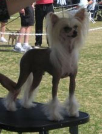 Mosaic's Just Lookin 4 A Good Time