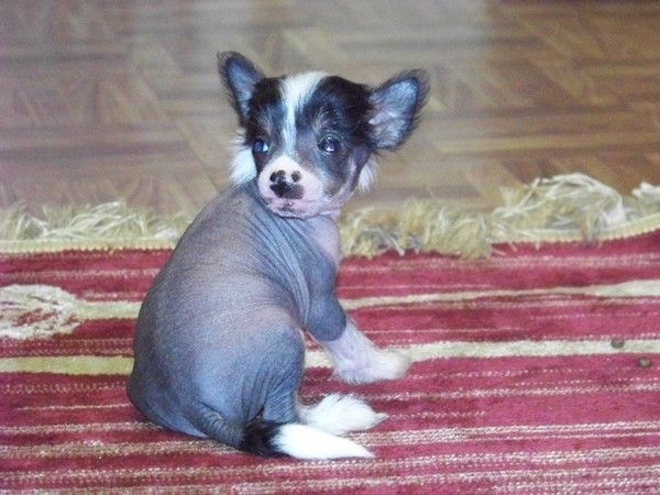 Channig Du Coeur Des Tenebres