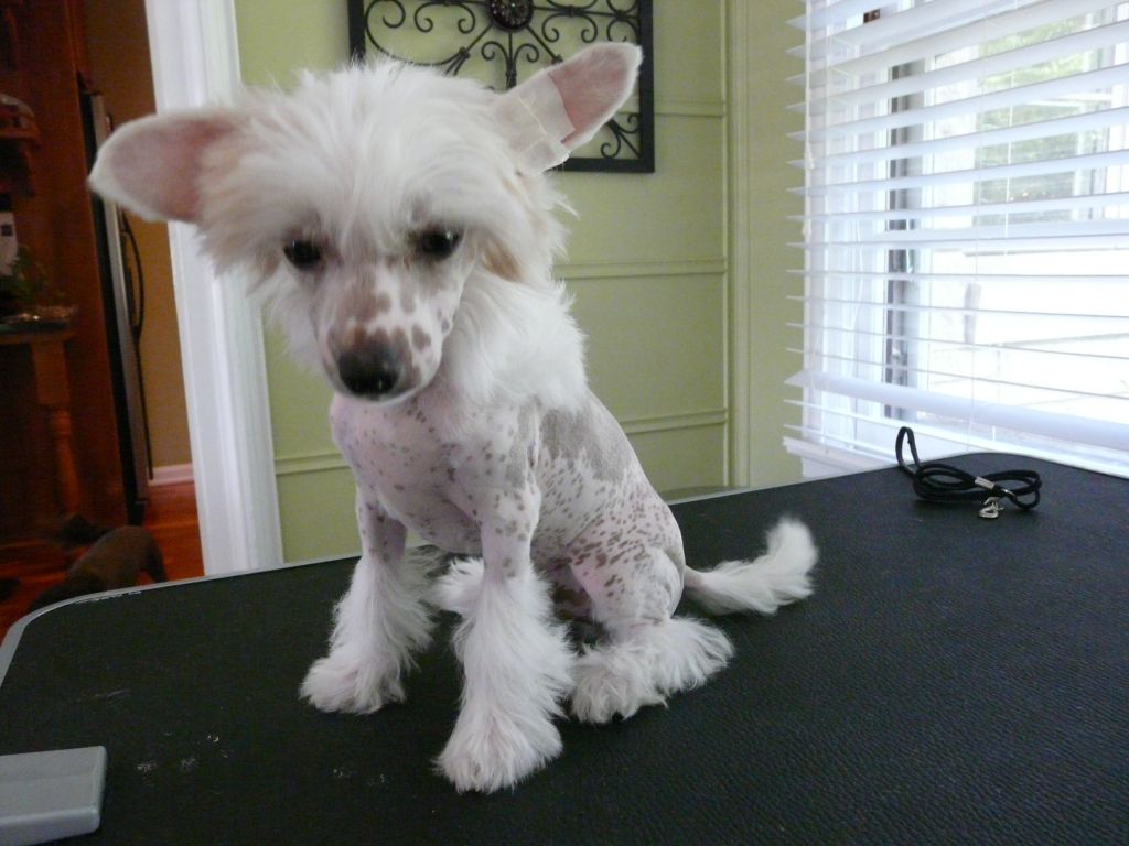 Creekside's Louis Vuitton