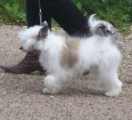 Banana Lee Du Coeur Des Tenebres