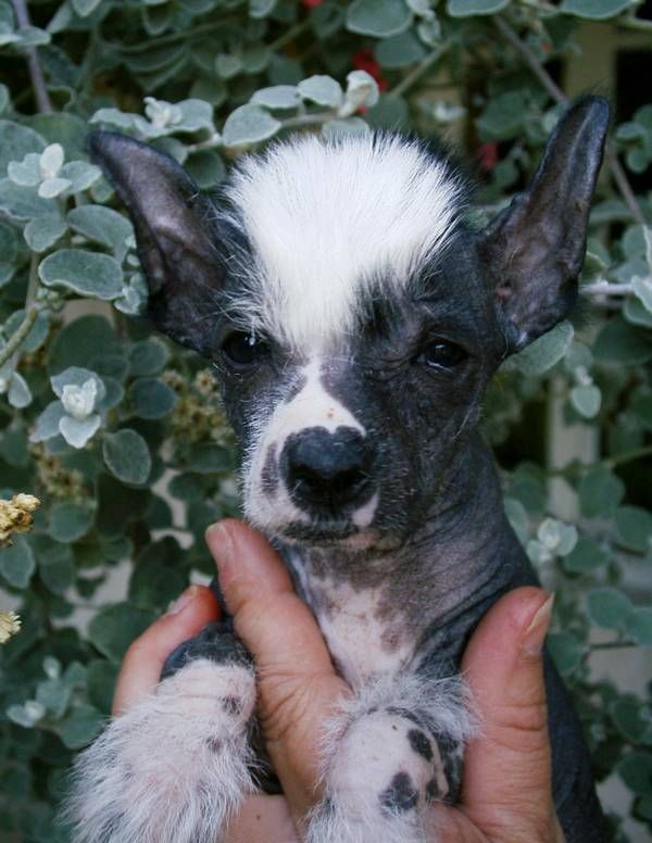 Blue Sky Du Coeur Des Tenebres