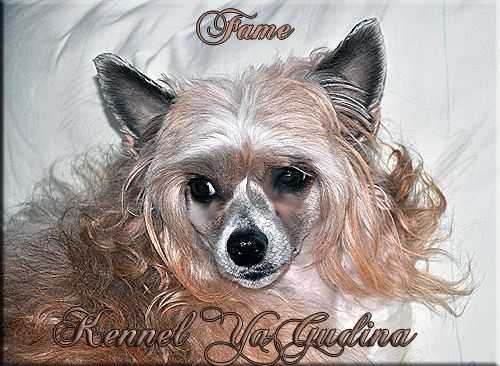 YaGudina's I' v been waiting for you