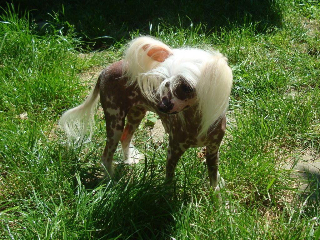 Kredo Festa Key from My Heart