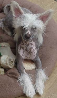 tuyu dare to bare all