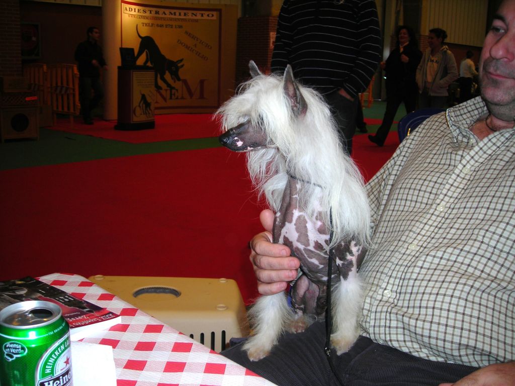 Aldebaran Del Rio Nalon