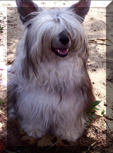 Empress Didi In The Dark