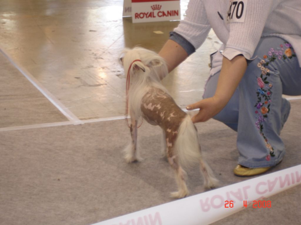 Archie-Antonio God's Blessing