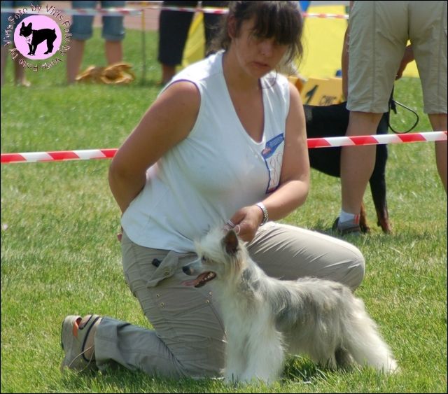 Celozja Pokerowy Zywot (fci)