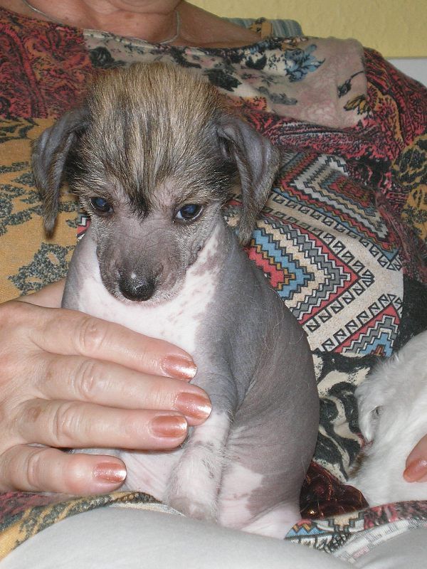 Charlie Devil of Pinky Punkies