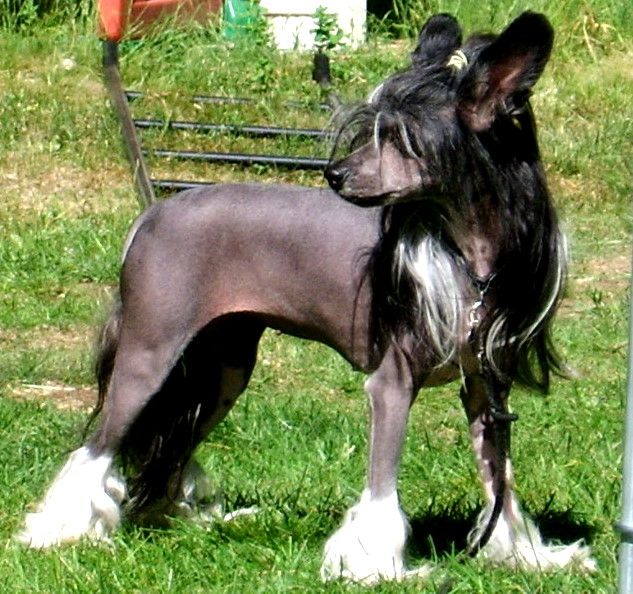 Maldinis Laura Aschley