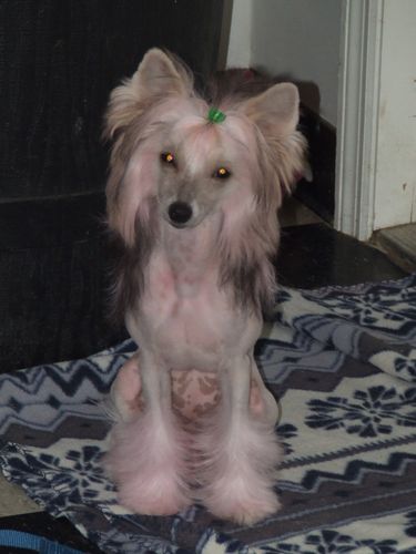 Koridawn Delende Double Exposure