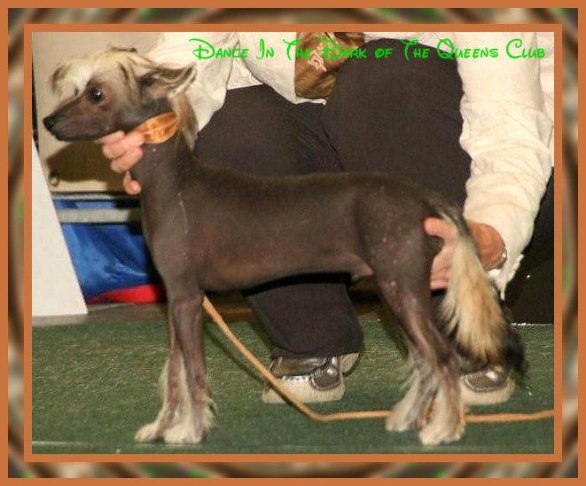 Dance In The Dark Of The Queens Club