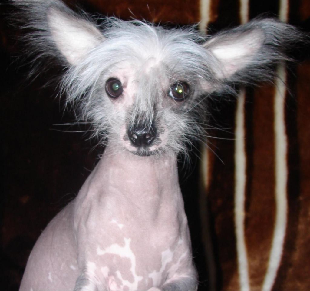 Bersar fu ti nu ti ja takaja