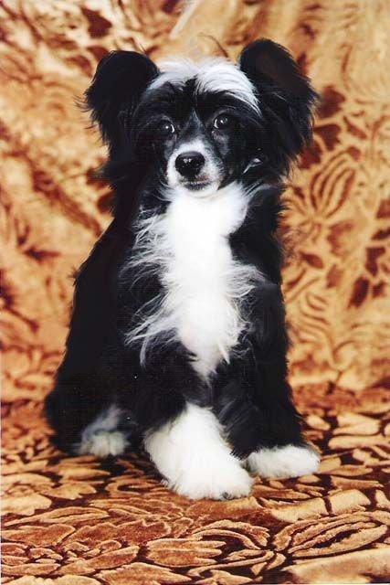 Lapochka Dochka ot Angelochka