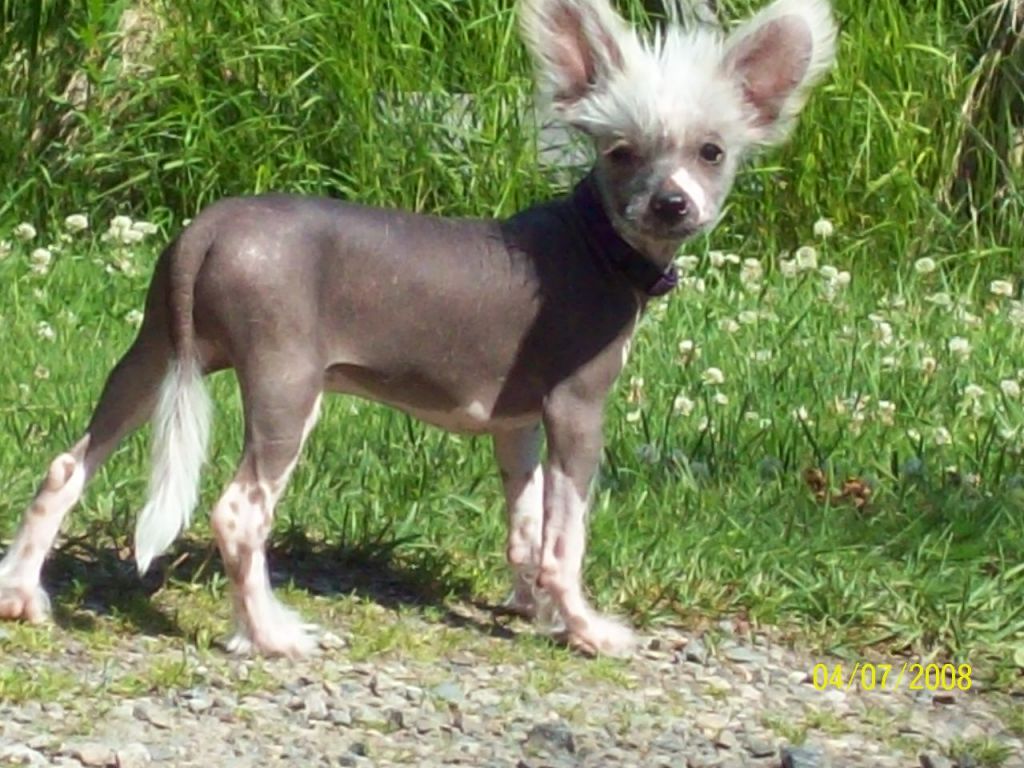 Debless One's Viktor Lu