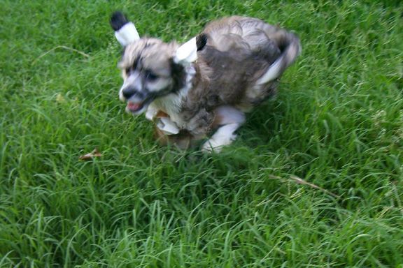 Spiritual A Little Serenade