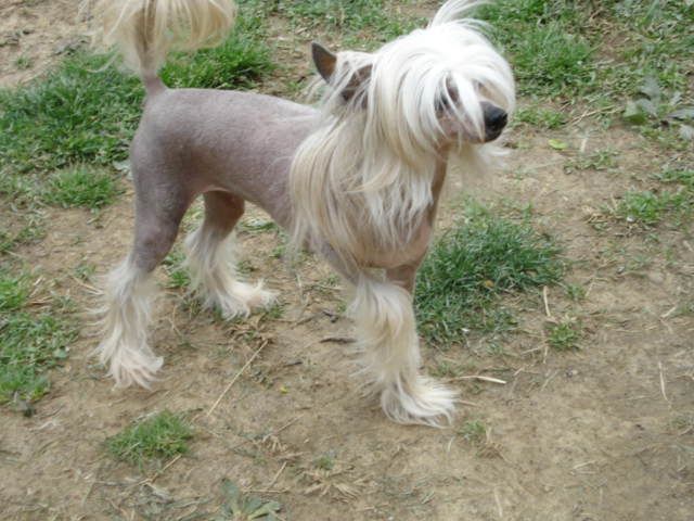 Spiritual Ain't Whistlin' Dixie