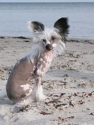 Amazing Friend's Cosmic Love Affair