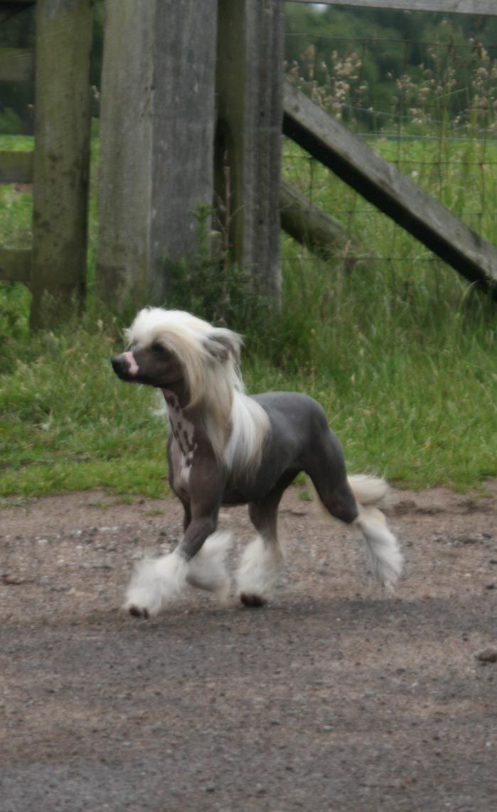 Doucai's Truely Sensualle