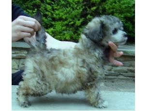 Walk the Line de GabriTho