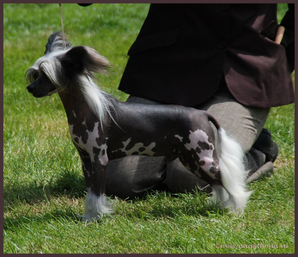 Crest-Vue Don't Be So Demand'N